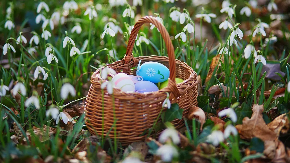 Времето играе казачок. Първа прогноза за април