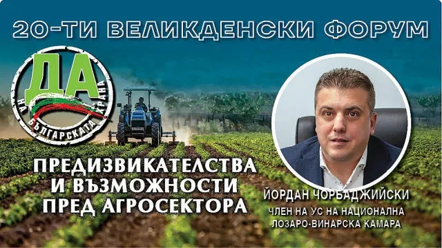 Винопроизводители настояват за по-строг контрол и реформи в сектора