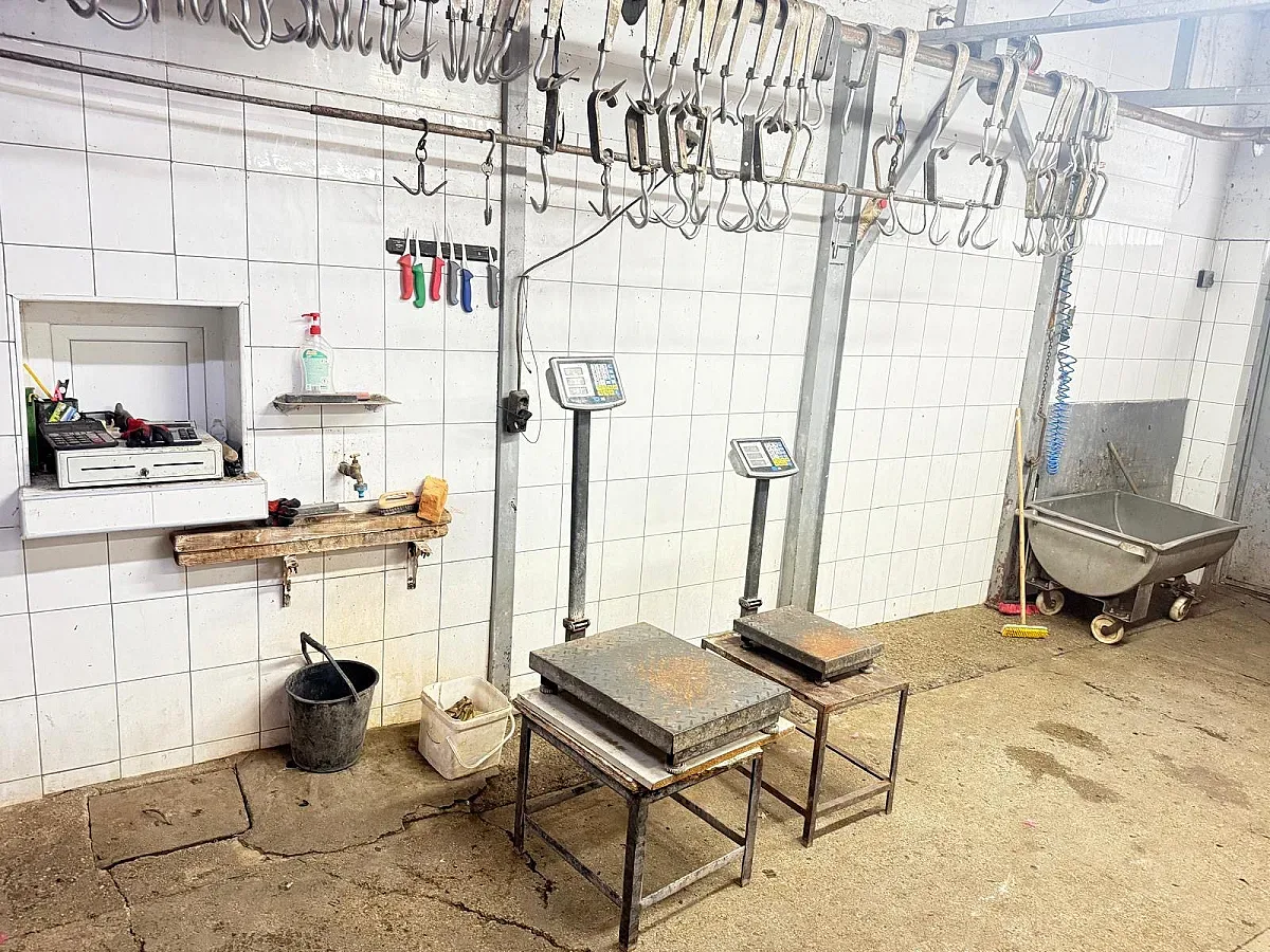 Съмнения за нелегална кланица в частен дом край Димитровград