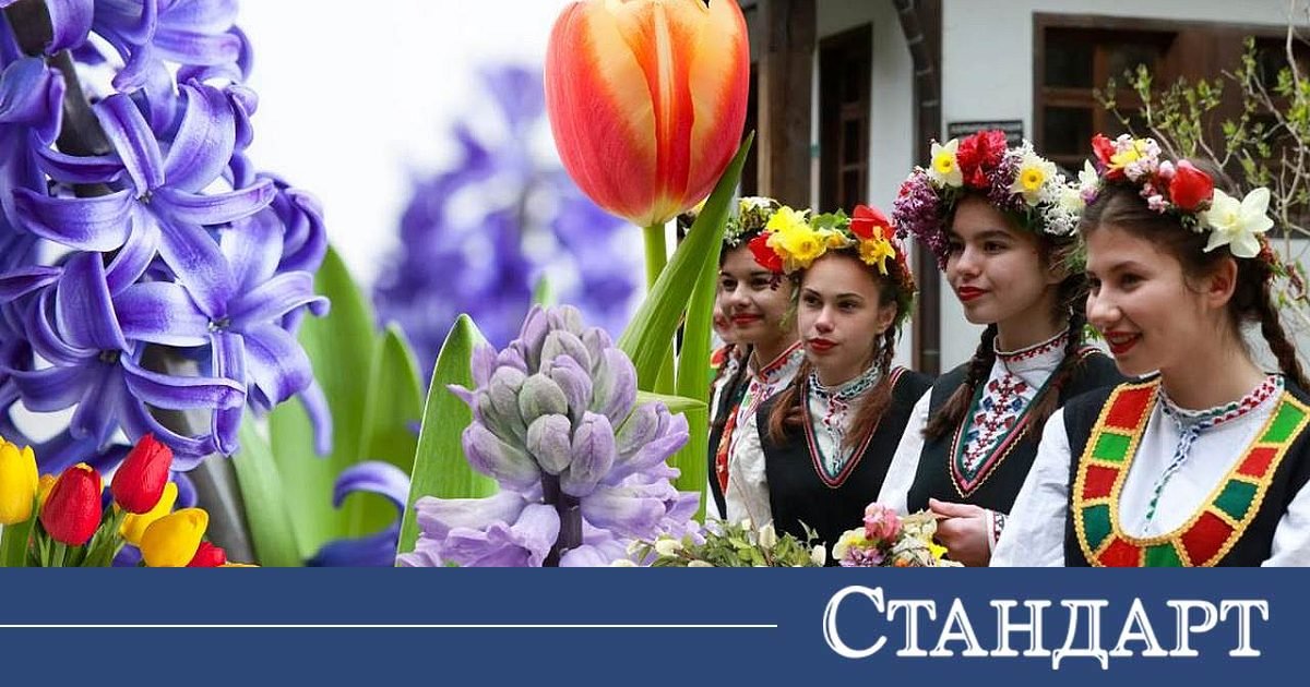 Цветница е! 3 забрани и какво да направим, за да ни върви