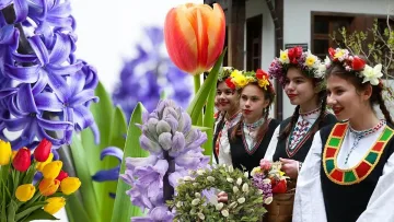 Цветница е! 3 забрани и какво да направим, за да ни върви