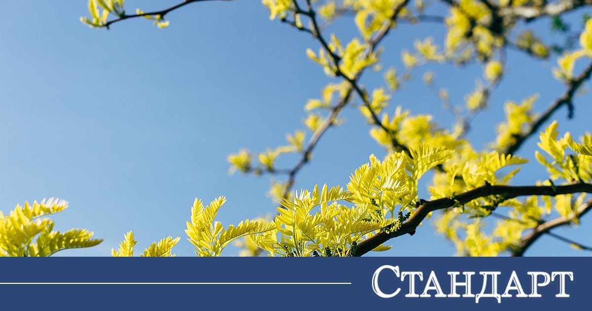 Пролетта напомня за себе си със слънце и високи температури