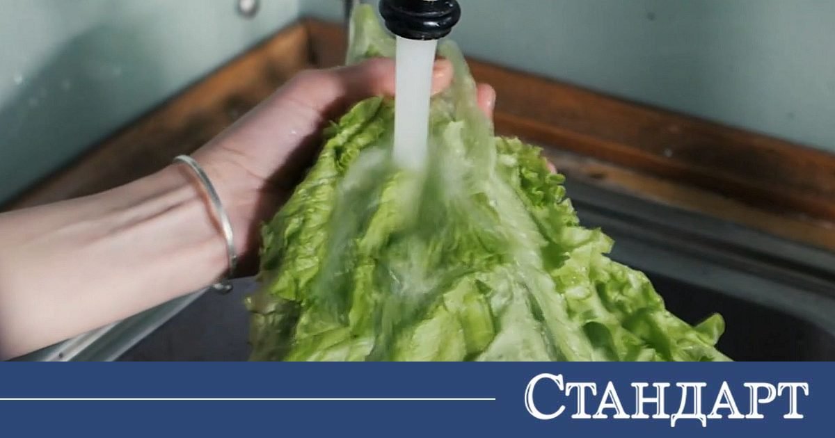 Внимание! Празничната салата може да е опасна