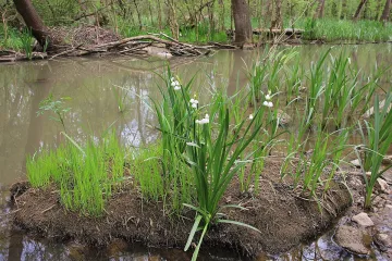 Нови защитени зони в България. Важни екосистеми получават закрила