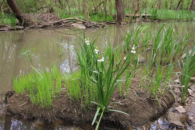 Нови защитени зони в България. Важни екосистеми получават закрила