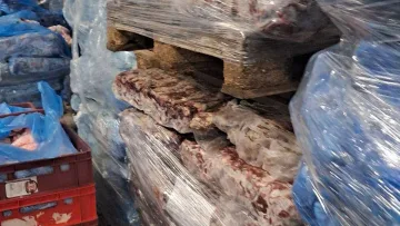 Над 6,5 тона храни за унищожаване след проверки на БАБХ