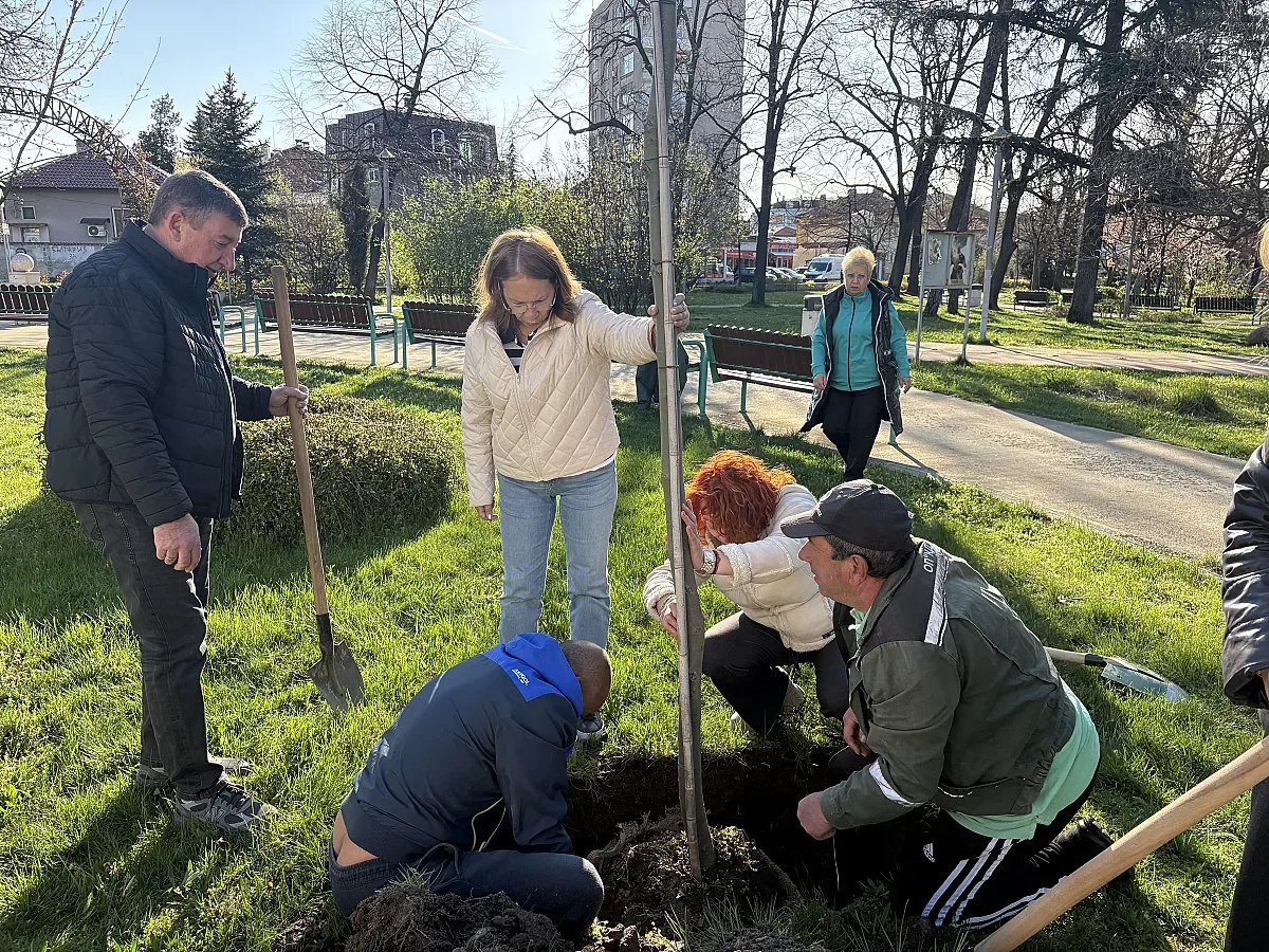 130 дръвчета засадиха в Казанлък в Седмицата на гората