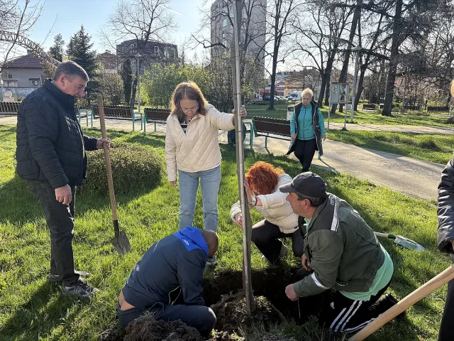 130 дръвчета засадиха в Казанлък в Седмицата на гората