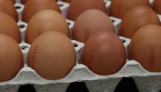 Фермер разкри какво се случва с яйцата преди Великден