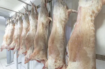 Ето къде агнешкото струва 5 евро за килограм