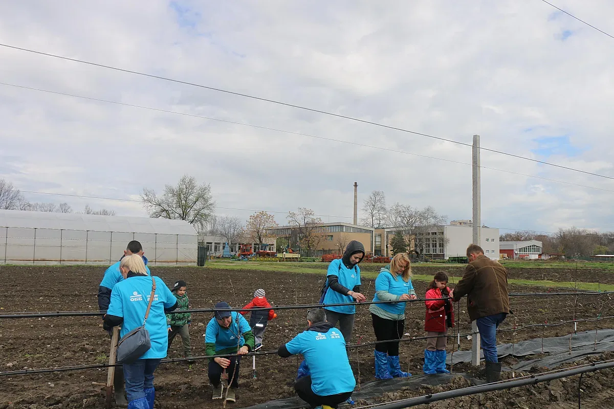 В „Синята гора“ на ОББ вече има и плодни дръвчета