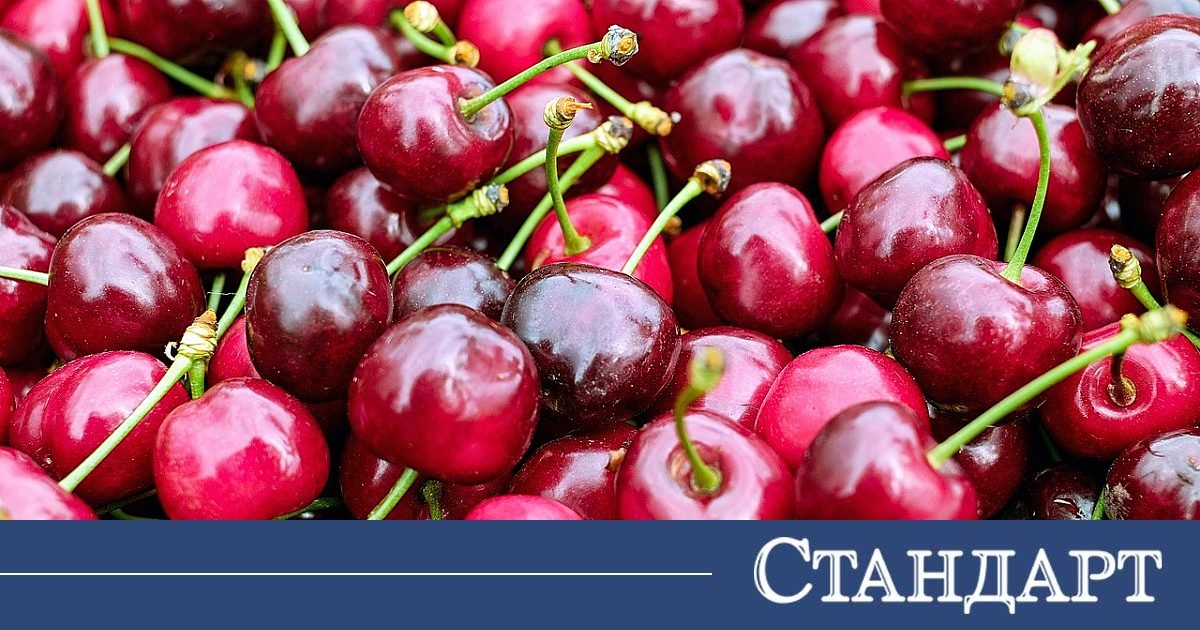 След джанките, черешите скачат до небето