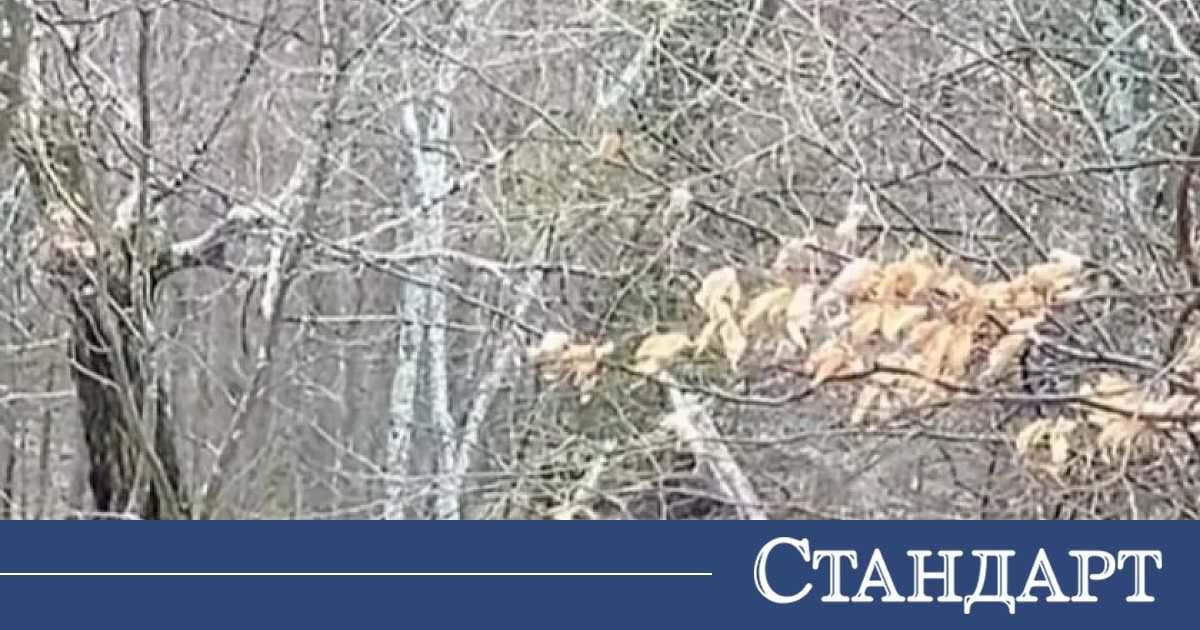 Туристи тръгнаха към хижа 