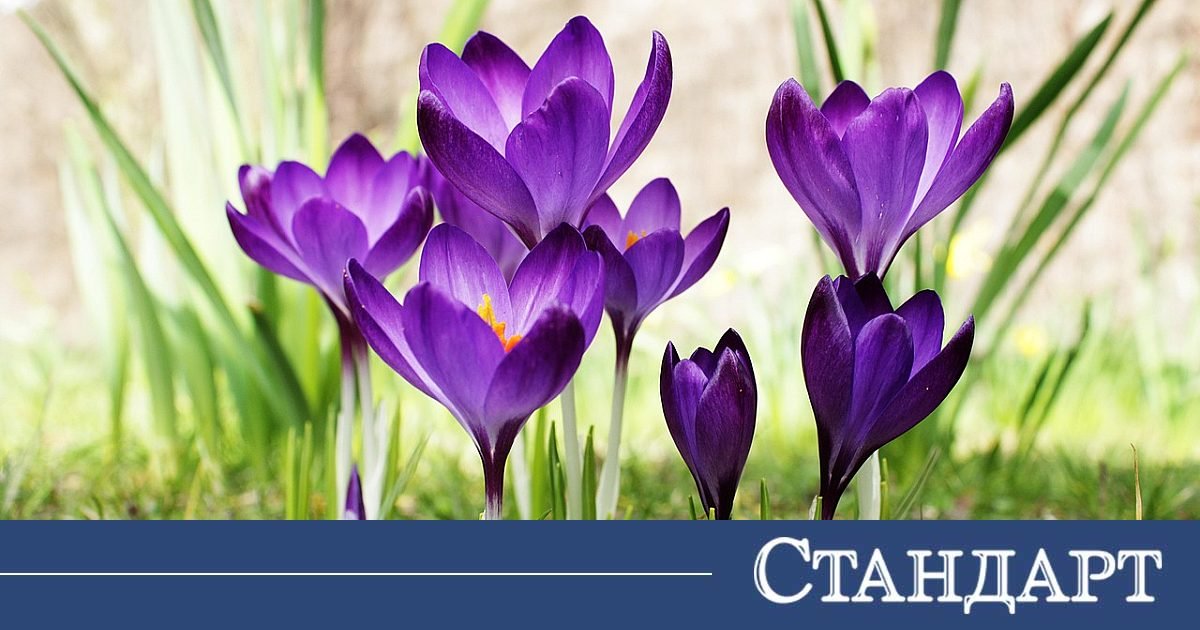 Чудно време утре, само на едно място - сняг