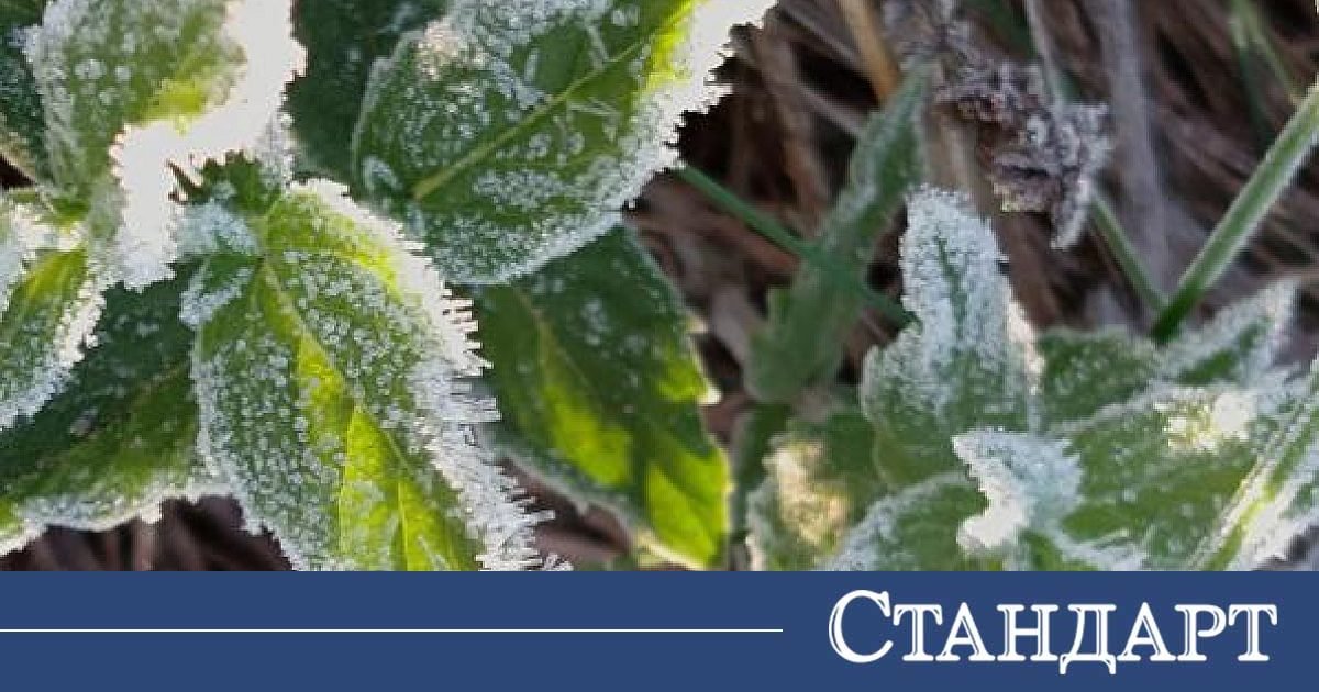 Времето с рязък завой! Нещо много неприятно идва от Сибир