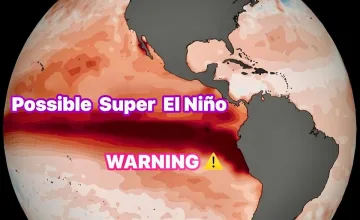 Очакваме ли Ел Ниньо? Прогнозите за 2026