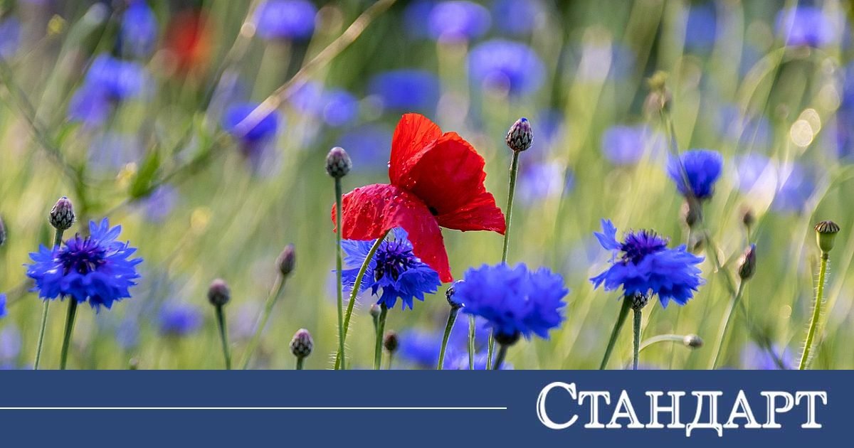 И днес бонус от слънцето - топло до 20°, от утре-облаци