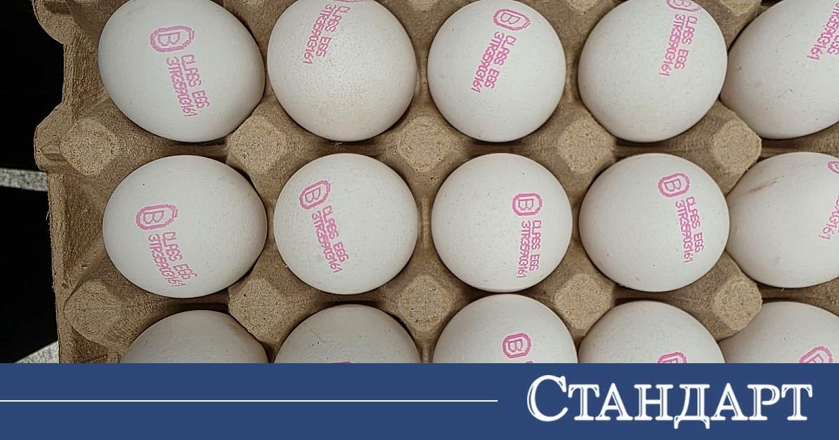 БАБХ спря над 500 тона негодни храни за два месеца