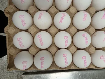 БАБХ върна почти 1,3 млн. яйца в Турция