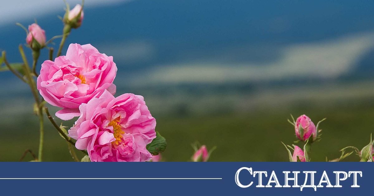 Арт инициативи превръщат Казанлък в сцена на красотата