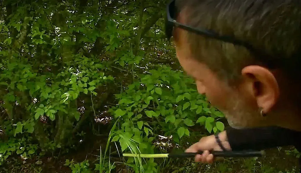 Пълзяща напаст нападна Варна! Хората са в ужас