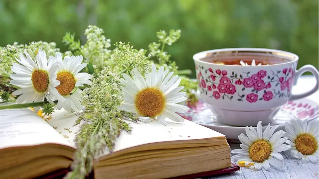 7 вида чай срещу главоболие