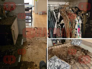 Невероятна гавра със семейство в наш топ курорт