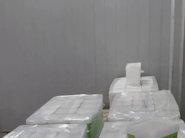 Курортите се напълниха с развалена храна