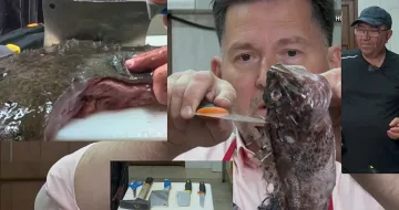 Драма в Черешката! Румен Бахов взриви шоуто