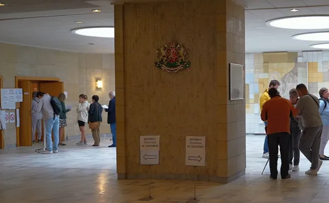 Българка в Германия проговори - защо гласува за първи път