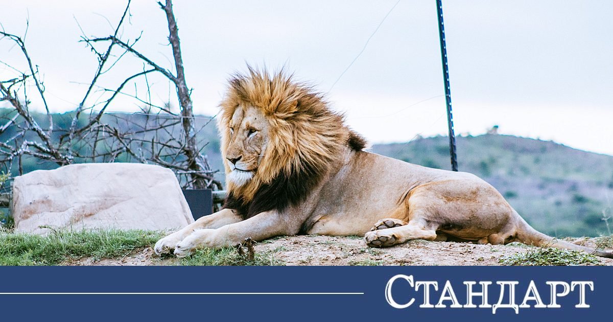 Само 4 зодии са най-влиятелни и успешни