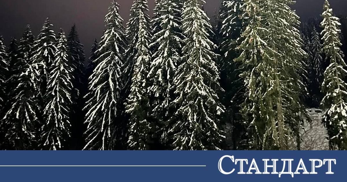 Зимата се върна в една част на страната, сняг затрупа проходи