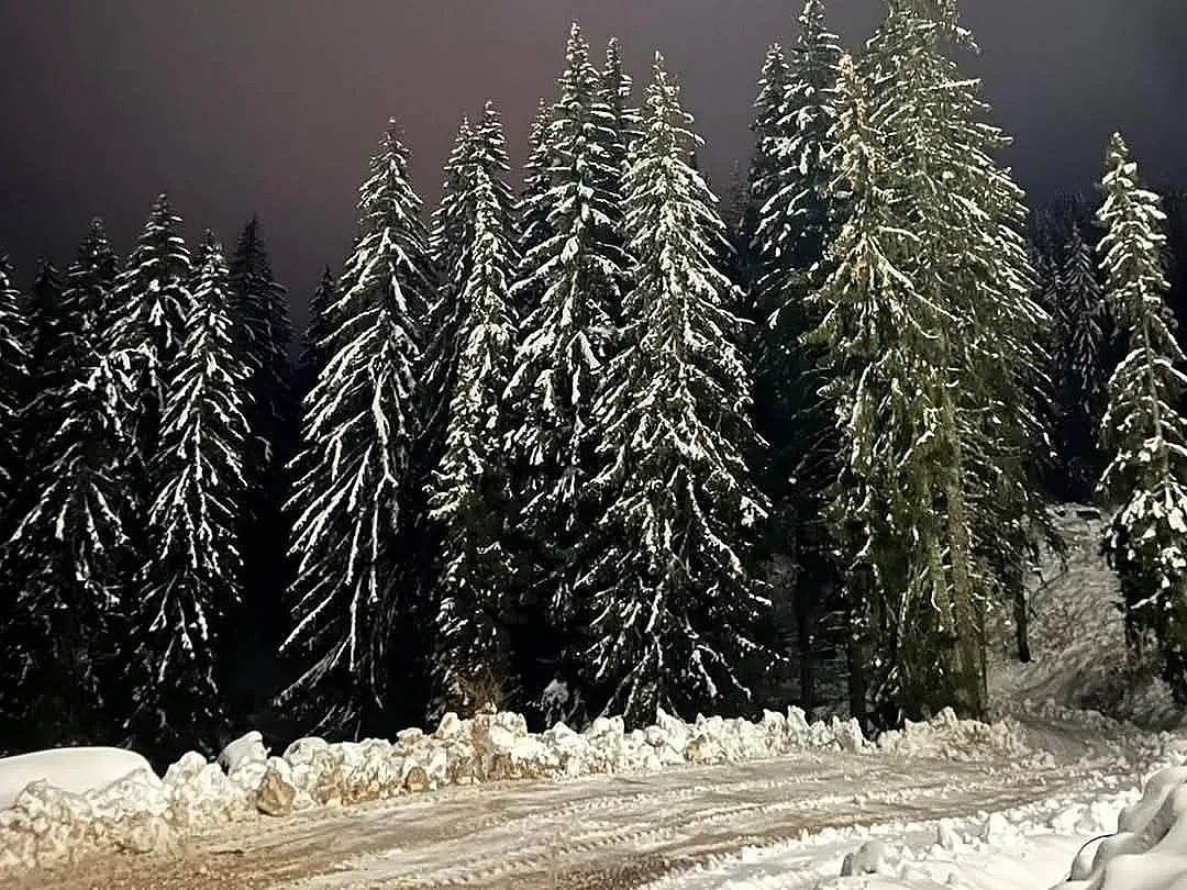 Зимата се върна в една част на страната, сняг затрупа проходи