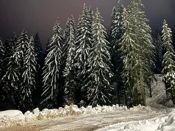 Зимата се върна в една част на страната, сняг затрупа проходи