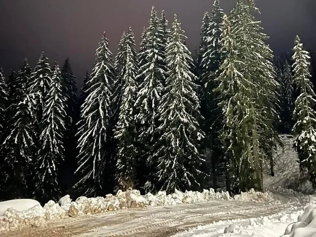 Зимата се върна в една част на страната, сняг затрупа проходи