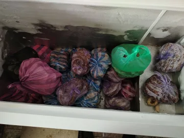 БАБХ затвори още две кланици