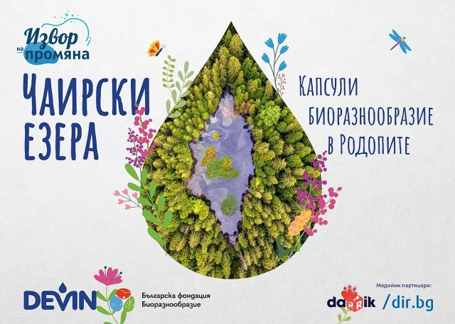 DEVIN и фондация „Биоразнообразие“ създадоха първия в България наръчник за възстановяване и опазване на торфища