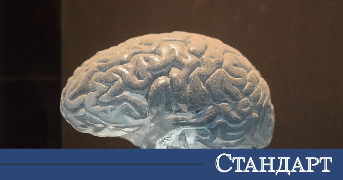 Невролози посочиха 5 навика, от които трябва да се откажете веднага