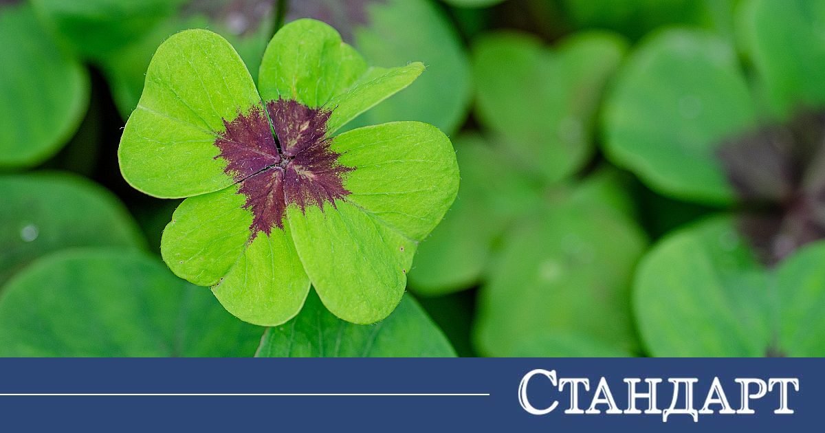 Под щастлива звезда! На родените в тези месеци най-много им върви