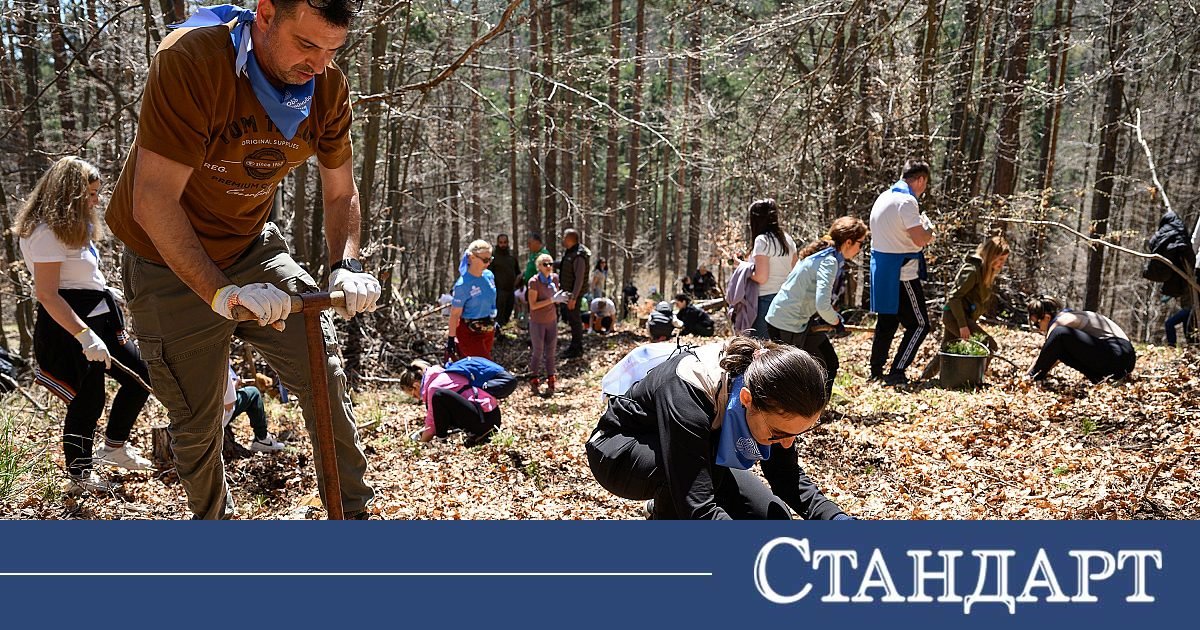 „Синята гора“ на ОББ расте вече и в Плана планина