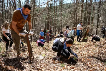 „Синята гора“ на ОББ расте вече и в Плана планина
