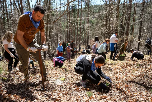„Синята гора“ на ОББ расте вече и в Плана планина