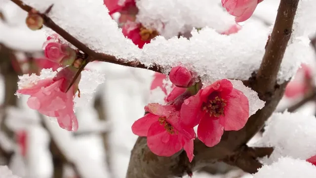 Майски сняг. Симеон Матев стресна с прогноза