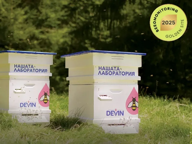 DEVIN Изворна с трето злато за чистота и биоразнообразие около извора си