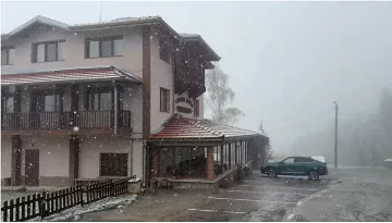 Майски сняг затрупа цъфналите дръвчета