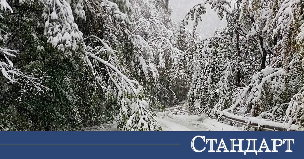 15 см снежна покривка и риск по пътищата в планините