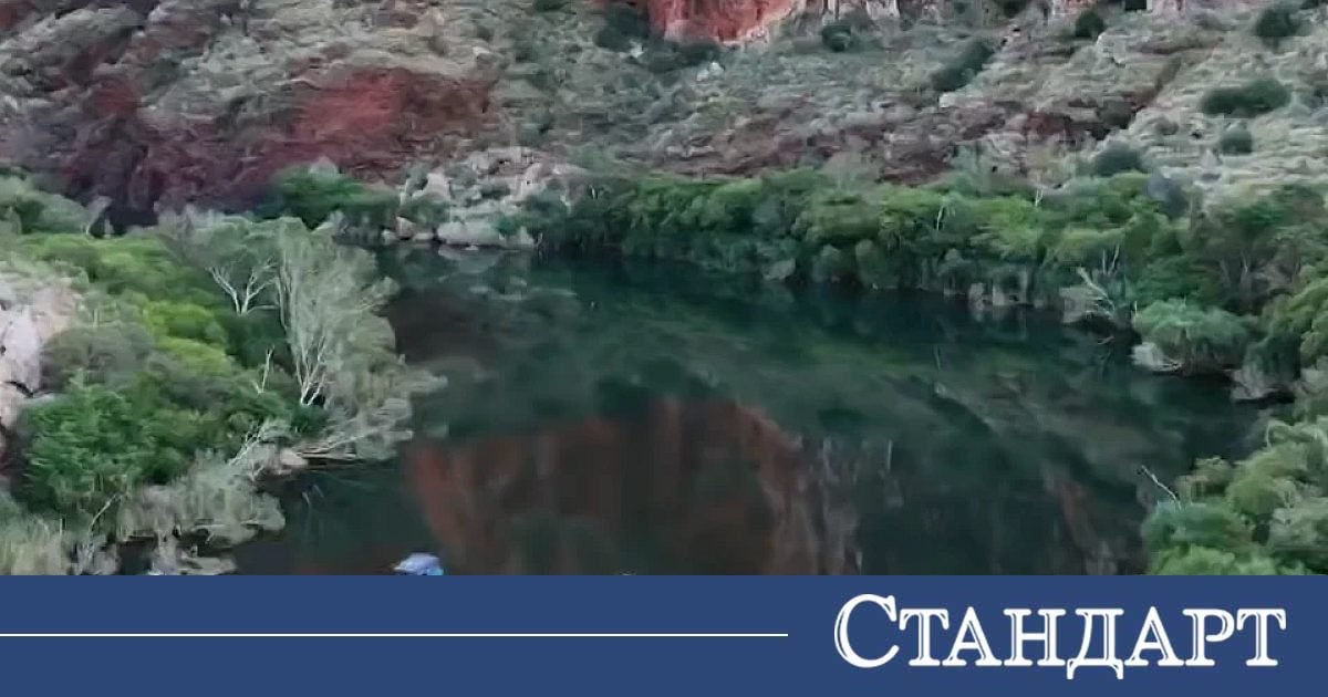 Маратонец счупи рекорд по плуване сред кродокили