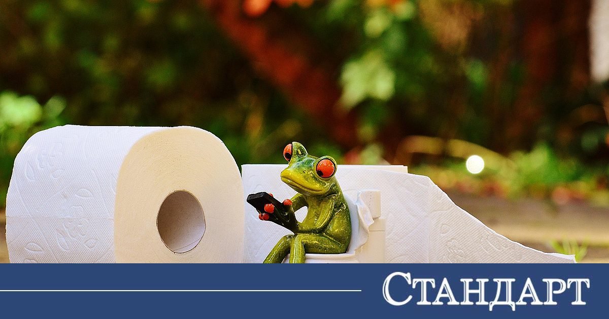 Коя хартия е безопасна за пускане в тоалетната и коя не?