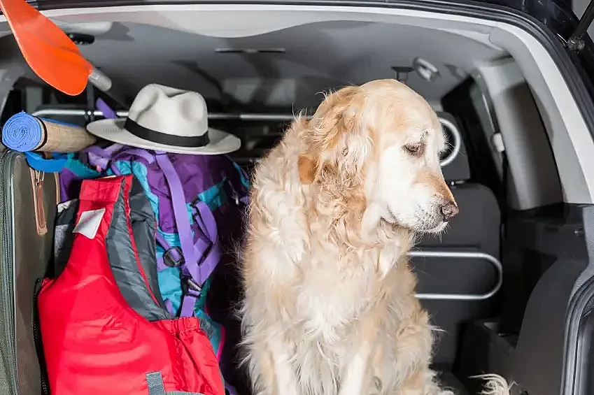 Арестуваха българка в Гърция