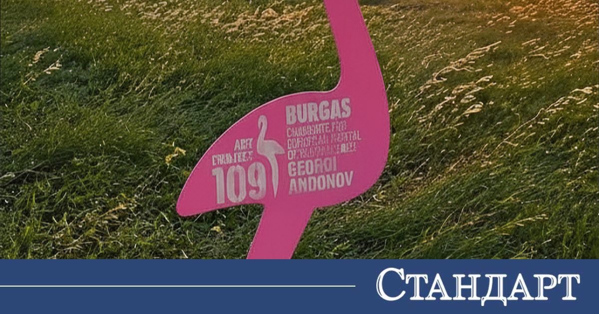 109 розови фламинго посрещат Giro d’Italia в Бургас